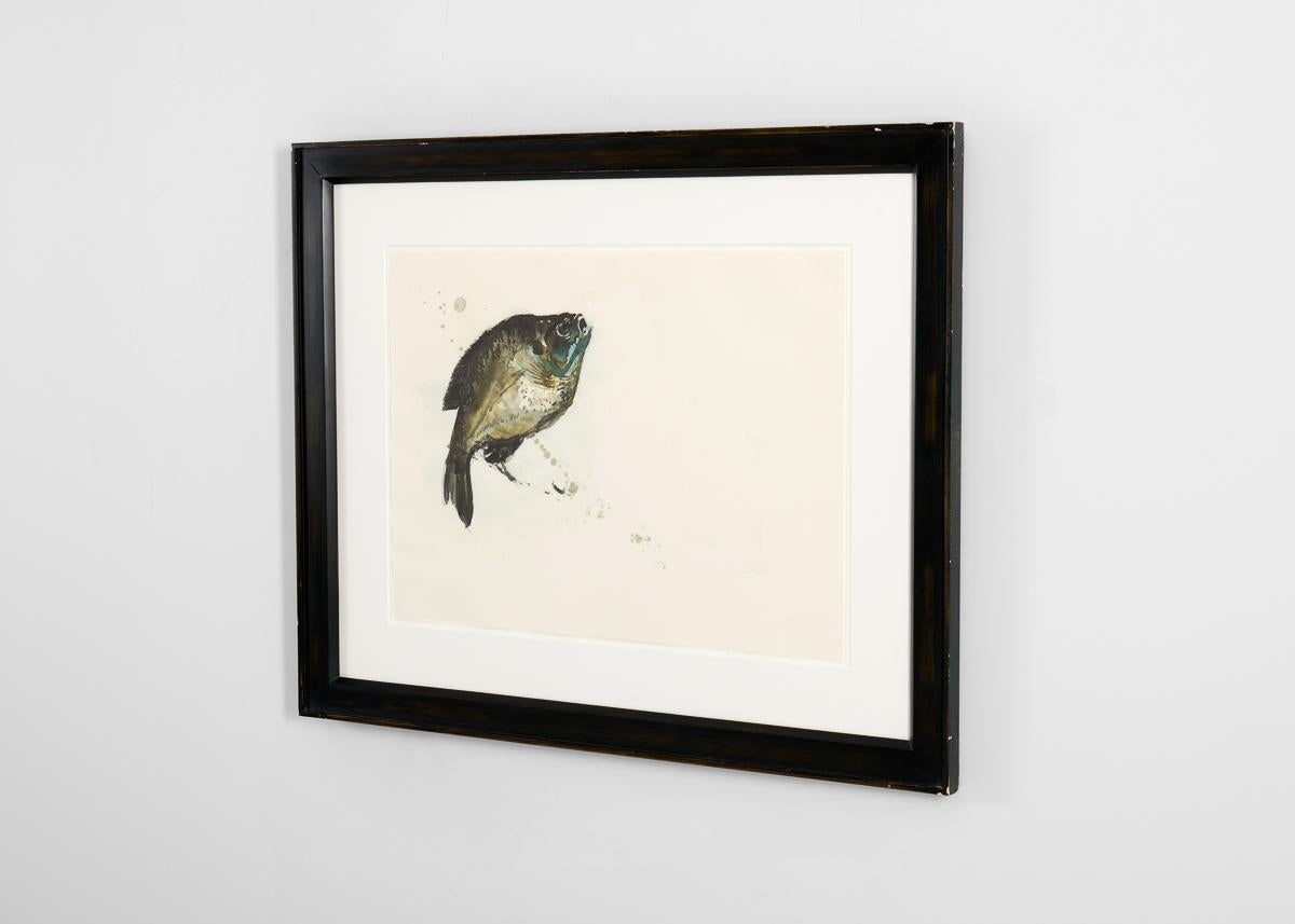 Framed Print Depicting a Fish from the collection of Thierry Despont In Good Condition For Sale In New York, NY