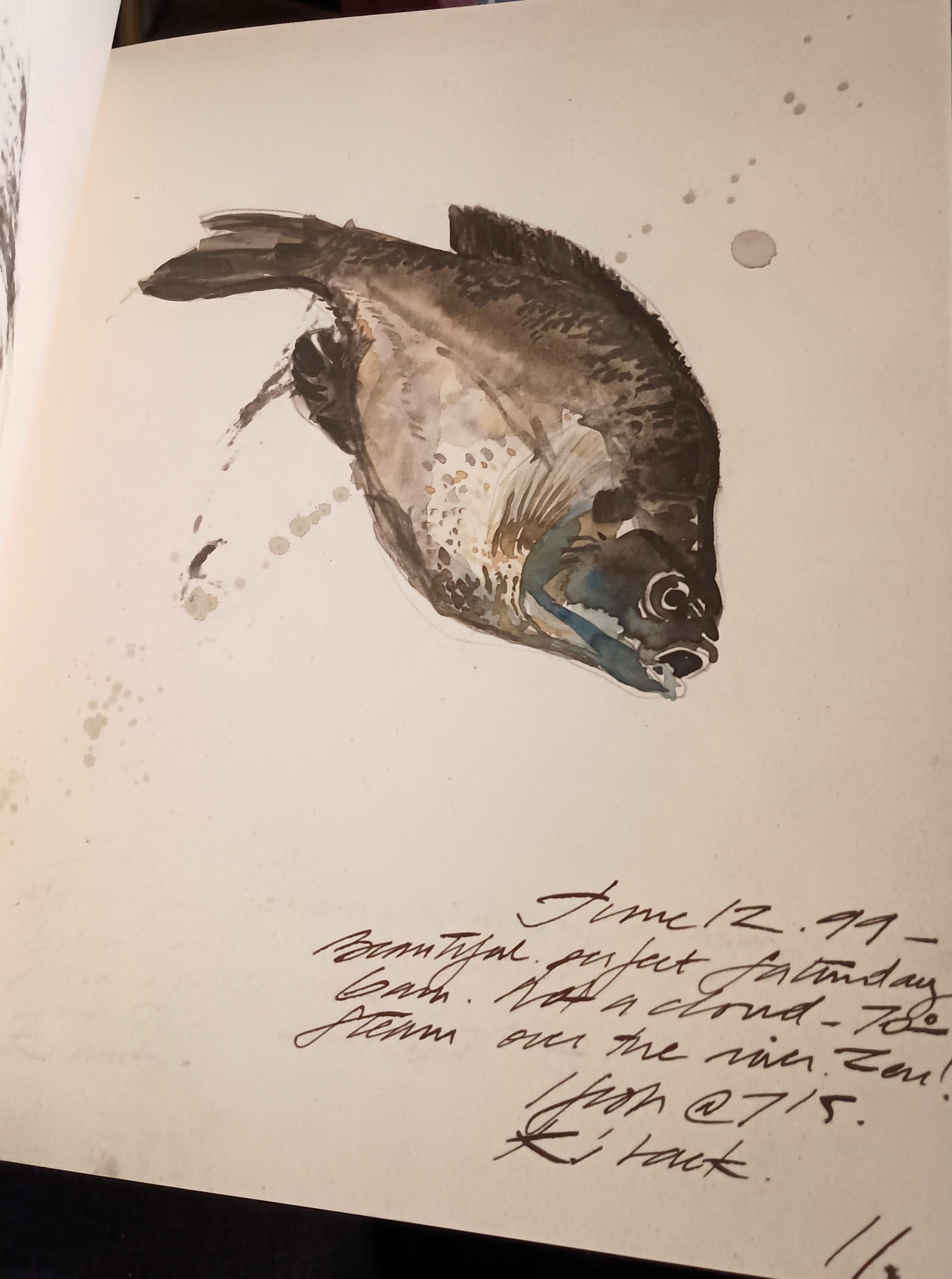 20th Century Framed Print Depicting a Fish from the collection of Thierry Despont For Sale