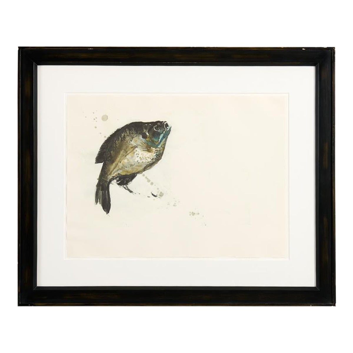 Gerahmtes Aquarell, das einen Fisch darstellt im Angebot