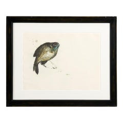 Gerahmtes Aquarell, das einen Fisch darstellt
