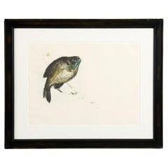 Framed Watercolor Depicting a Fish from the collection of Thierry Despont
