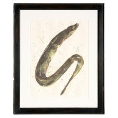 Aquarelle encadrée représentant une anguille, par Thierry Despont, États-Unis, XXe siècle