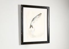 Aquarelle encadrée représentant un poisson, par Thierry Despont, États-Unis, XXe siècle