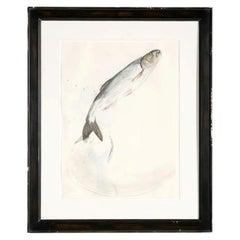 Aquarelle encadrée représentant un poisson, par Thierry Despont, États-Unis, XXe siècle