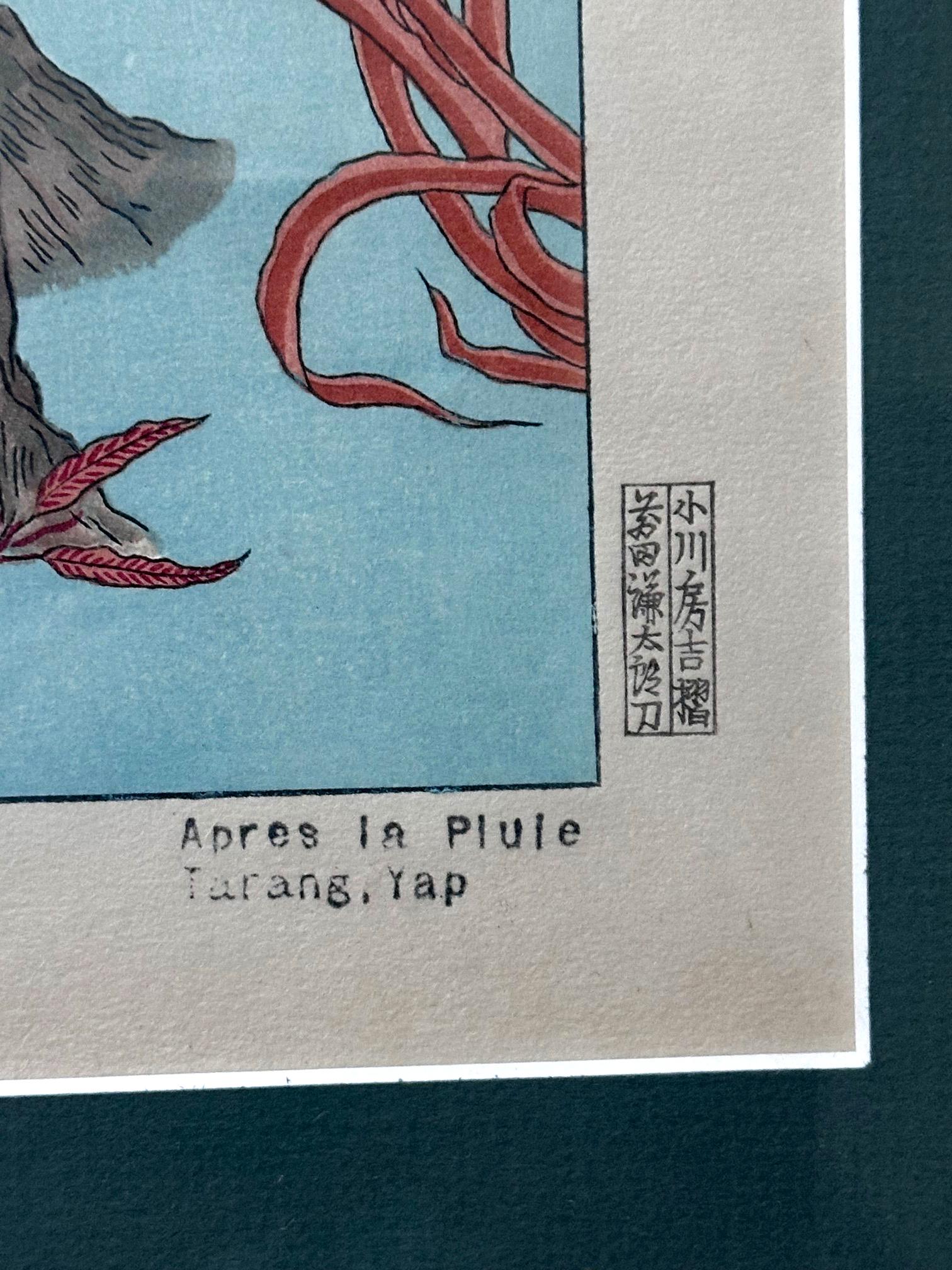 Grabado en madera japonesa enmarcado Apres La Pluie Tarang Yap de Paul Jacoulet en venta 4