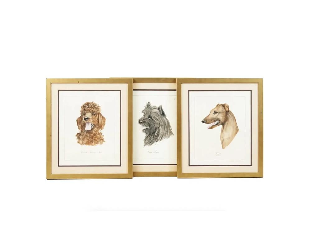 A lot of three framed color lithographs of dogs by Gianni Reggio, 1898 to 1961, an Italian artist. Each artwork is signed by the artist underneath. Titled and numbered on the bottom: Caniche Francias Nain, Ediz. PV29. Cairn Terrier, Ediz. PV20.