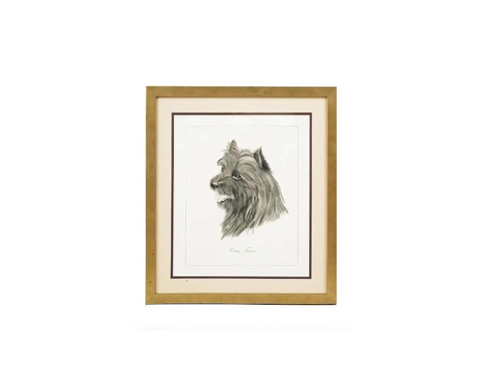 Framed Antique Dog Lithographs By Gianni Reggio In Good Condition For Sale In New York, NY