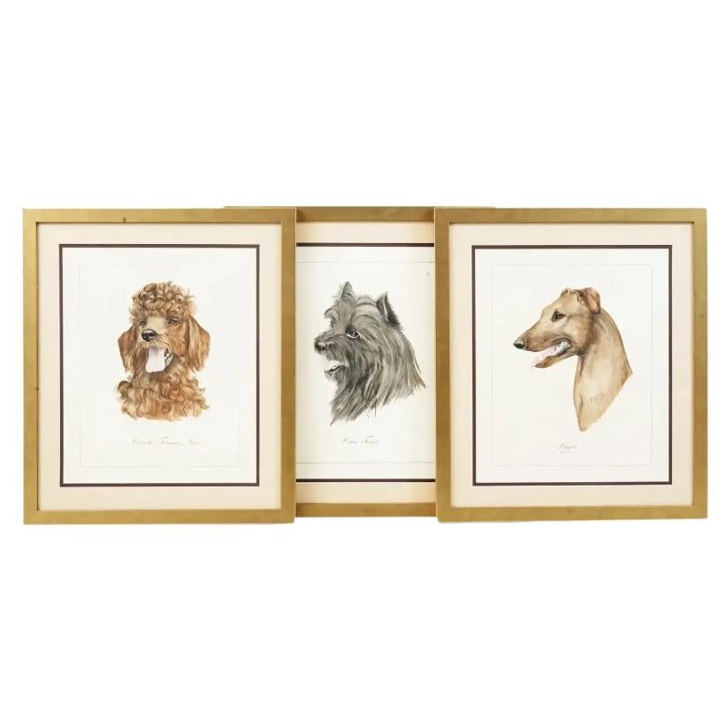 Framed Antique Dog Lithographs By Gianni Reggio For Sale