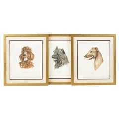 Framed Antique Dog Lithographs By Gianni Reggio