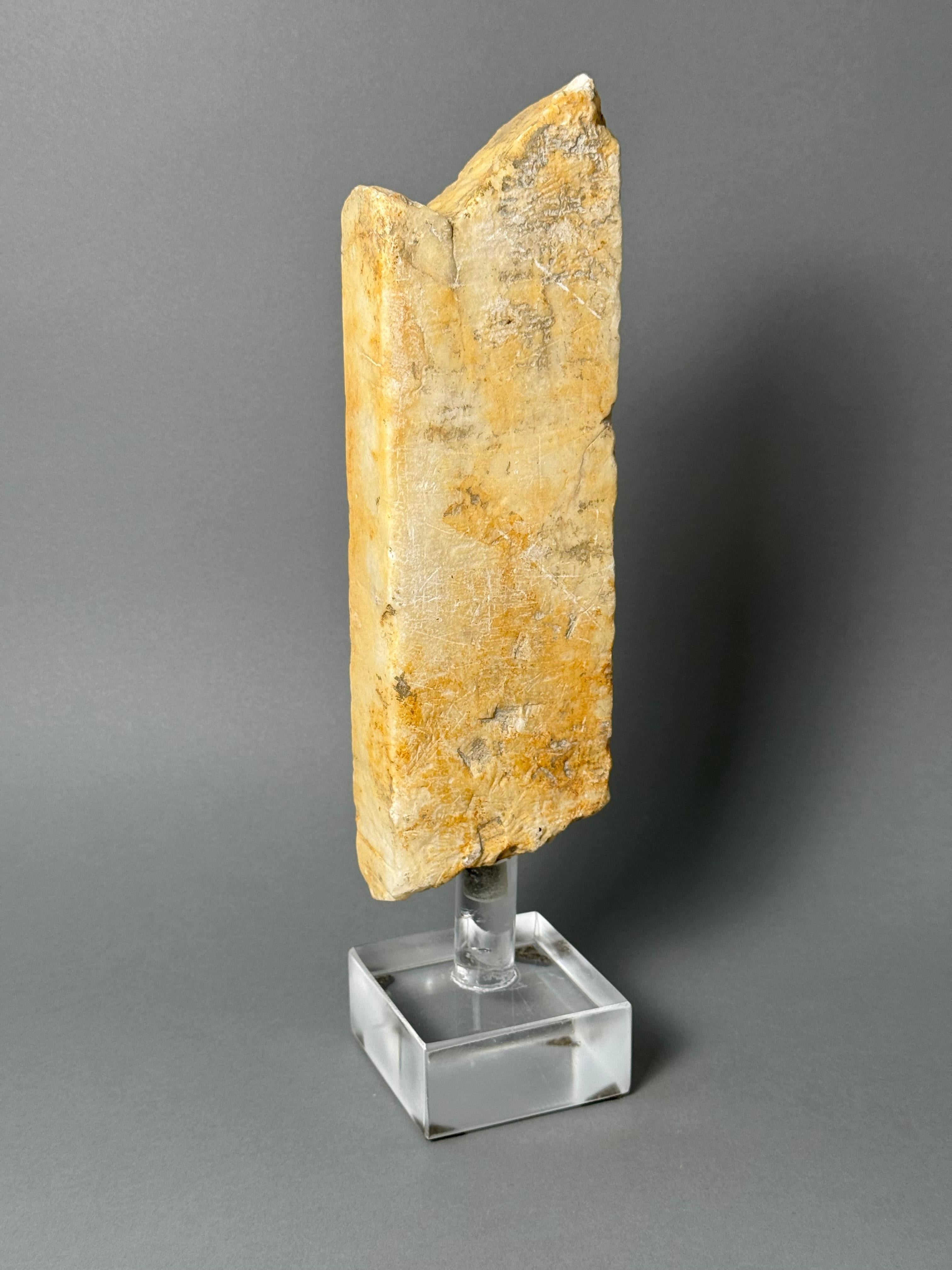 Frammento architettonico in marmo - XV secolo For Sale 2