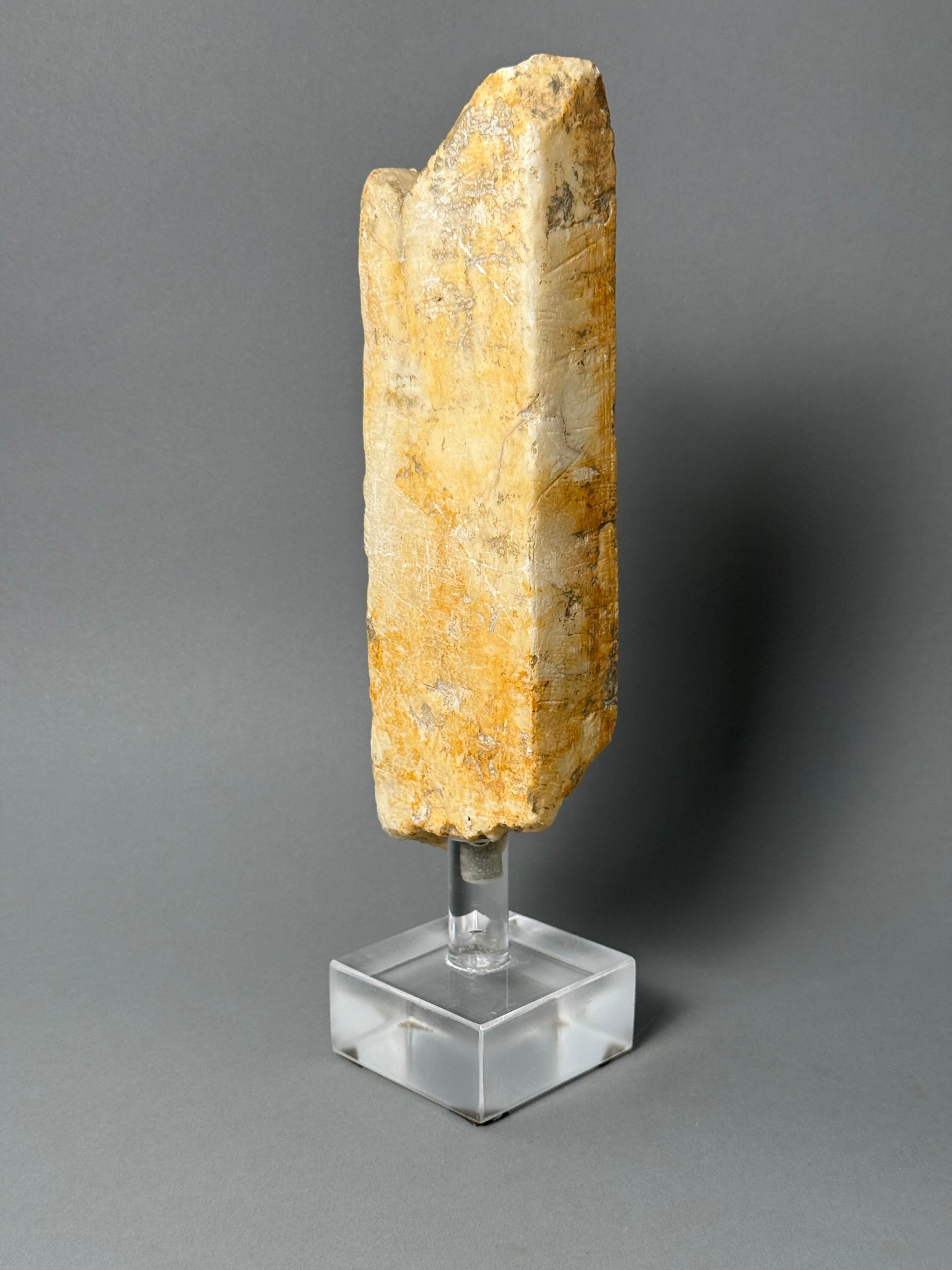 Frammento architettonico in marmo - XV secolo For Sale 3