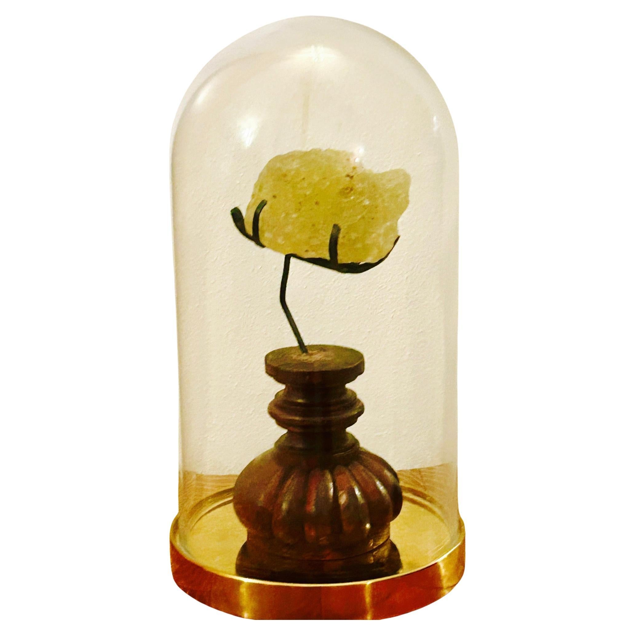 Frammento di Libyan Desert Glass - base anticata in Teca - Egitto/Libia ~29 mil