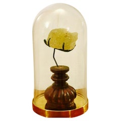 Frammento di Libyan Desert Glass - base anticata in Teca - Egitto/Libia ~29 mil