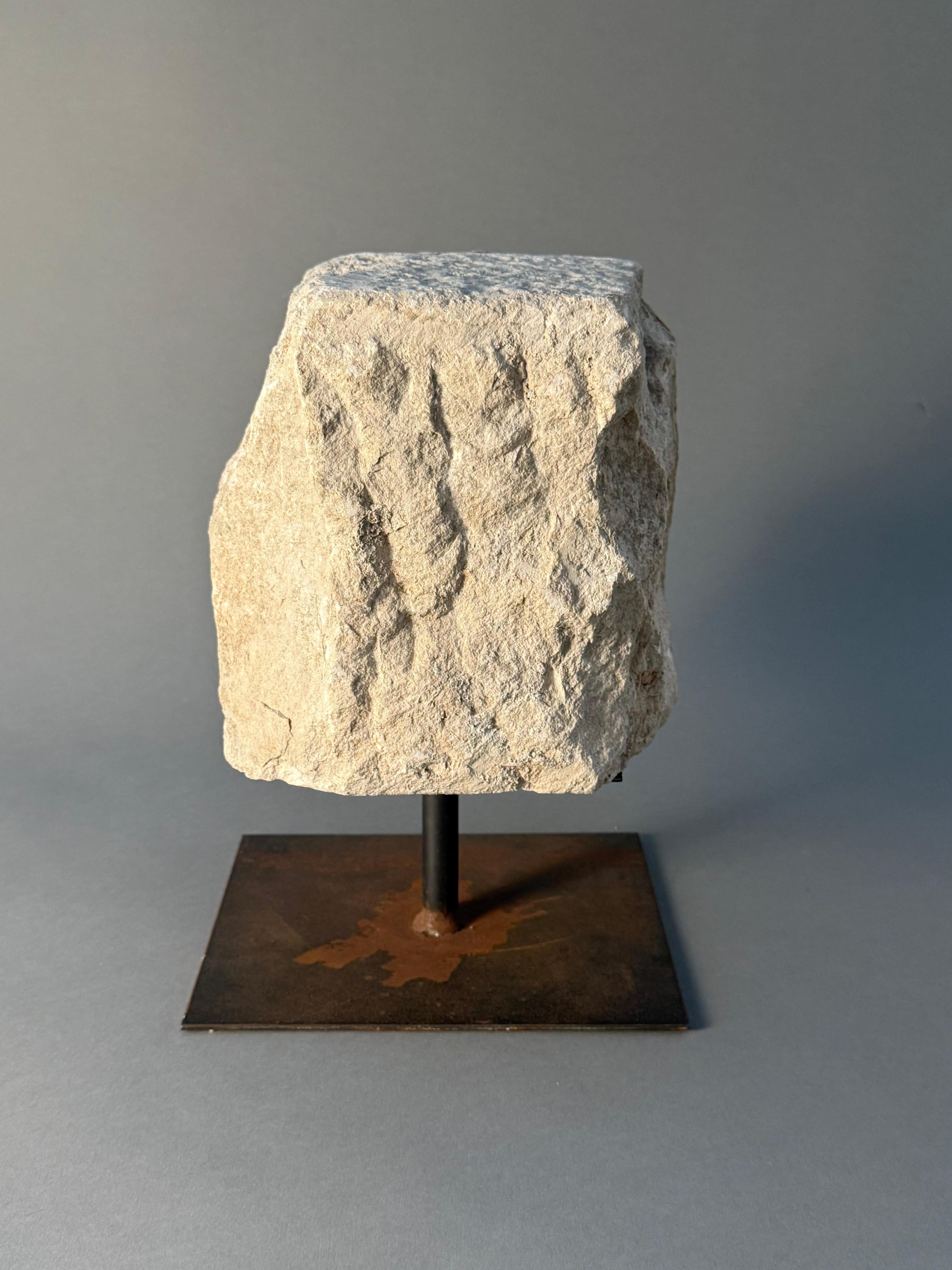 Frammento scultoreo in pietra - seconda metà del XV secolo in vendita 7