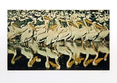 Pelicans, Photorealist Screen Print by Fran Bull