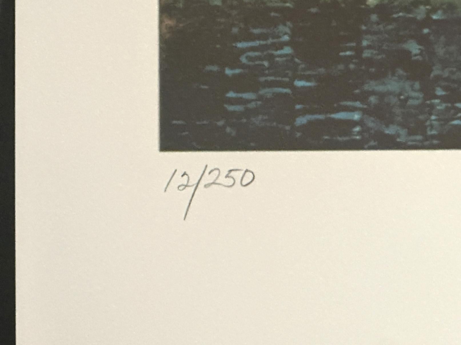 Día del cielo Velero Litografía firmada de edición limitada - Landscape Print Gris de Fran Bull