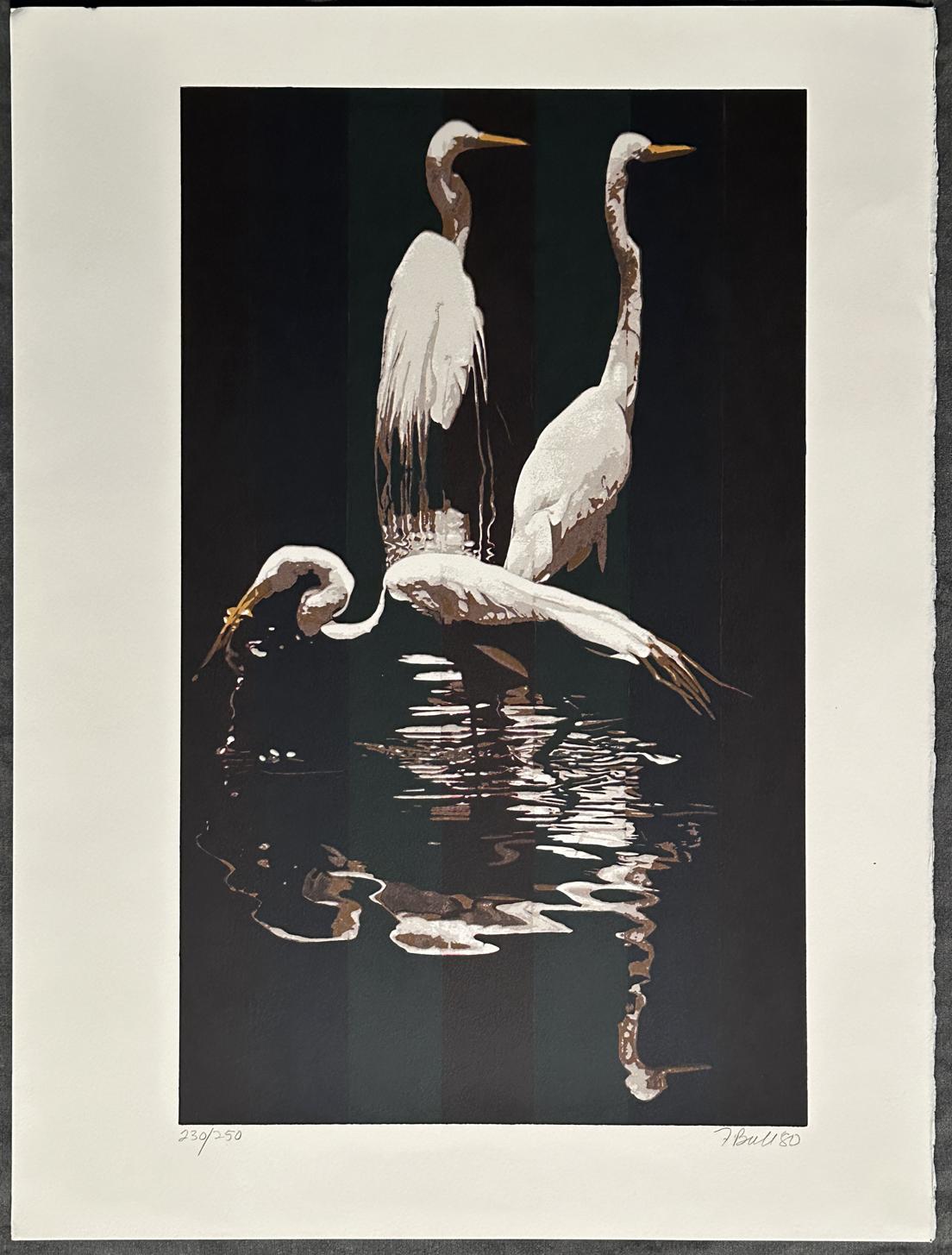 Artista: Fran Bull
Titolo: Tre aironi 
Anno: 1980
Stampa:  Stampa serigrafica su carta Rives BFK White 
Dimensioni: 22'' x 30'' pollici
Edizione: Firmato a matita e contrassegnato come 230/250

Fran Bull è conosciuta soprattutto per la fauna