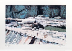 Zoo Bear, Photorealist Screen Print by Fran Bull