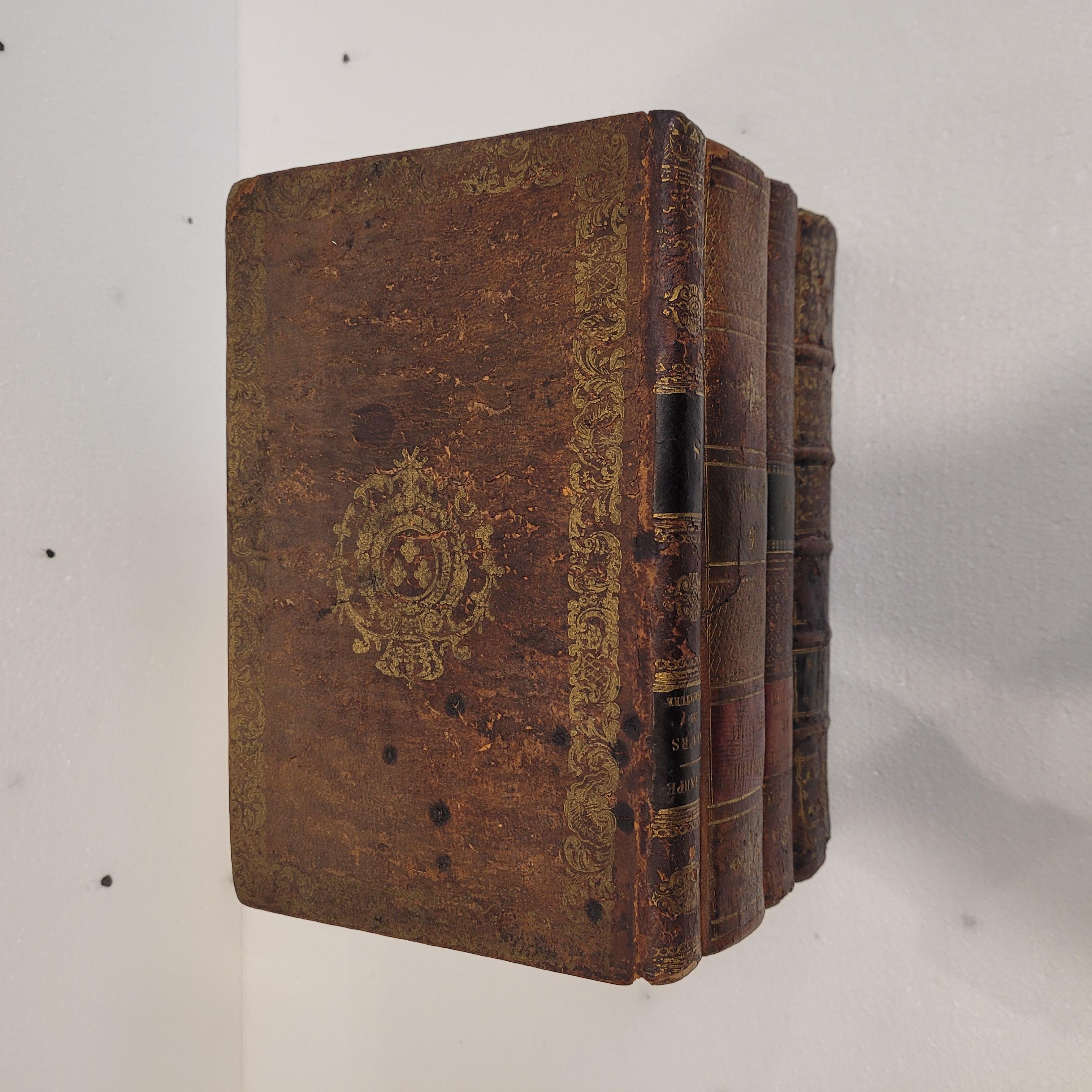 France box in the shape of books or Tantalo books Liquor set - leather For Sale 2