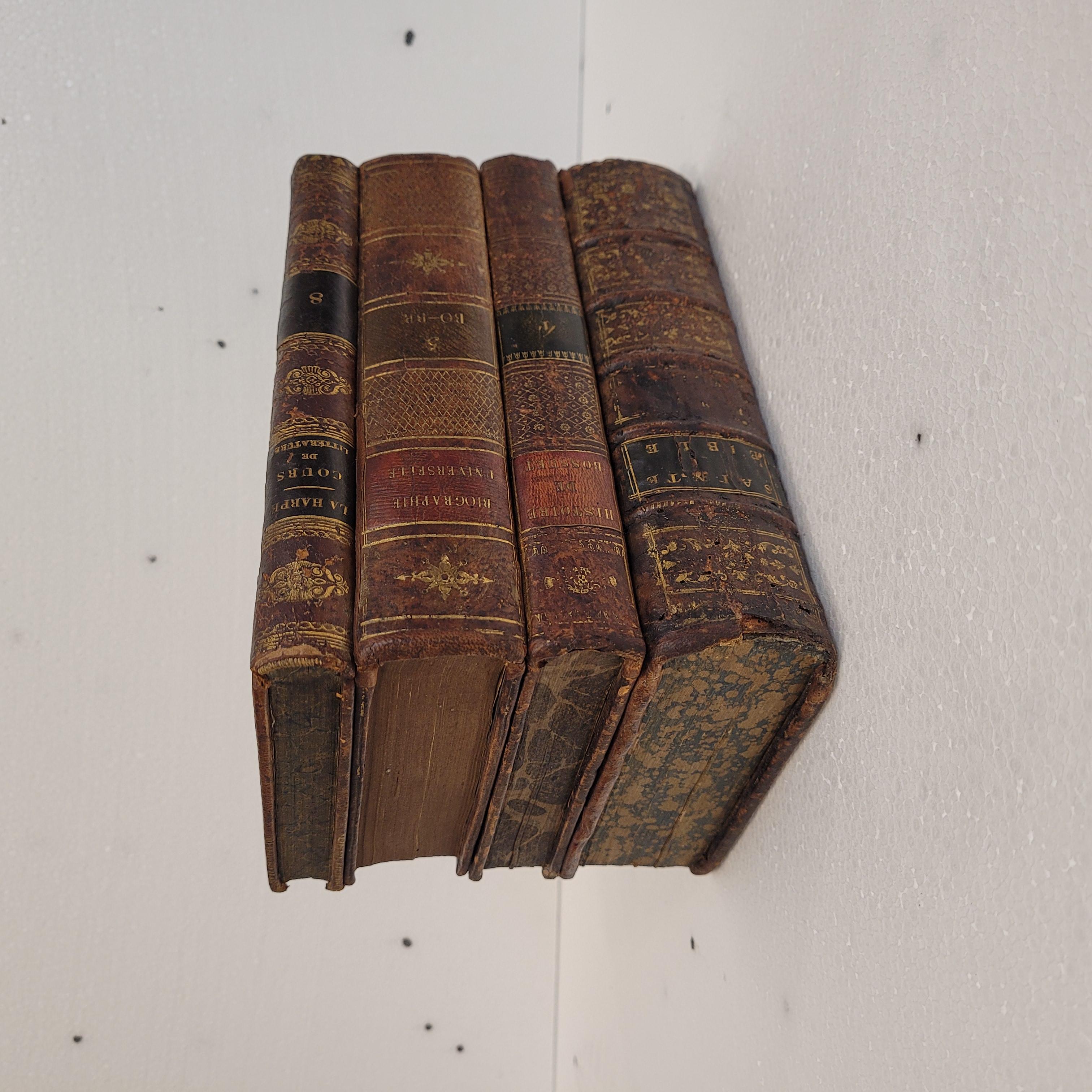 Late 19th Century France box in the shape of books or Tantalo books Liquor set - leather For Sale