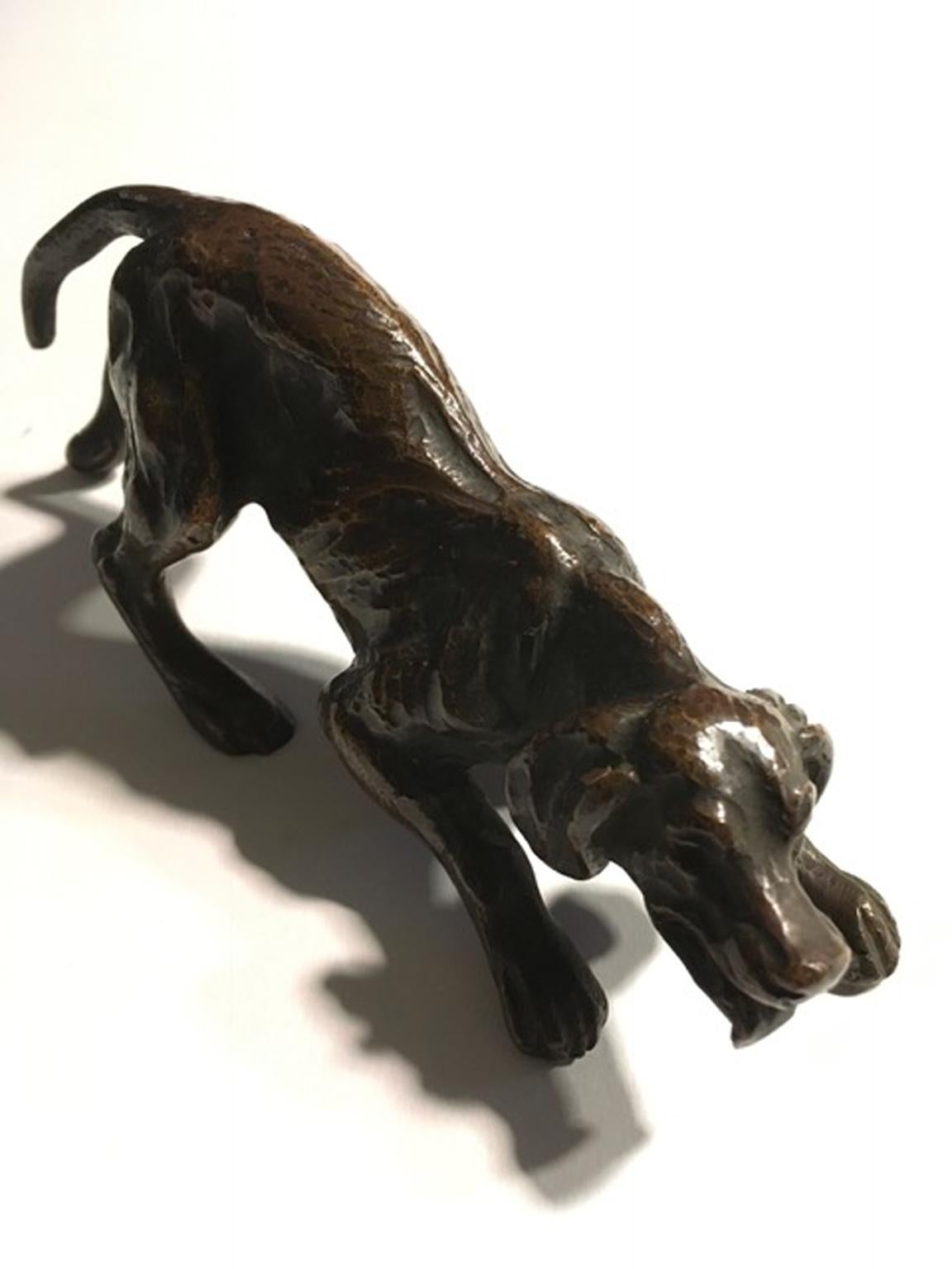 France late 19th century bronze dog sculpture attributed to Clovis Masson. 

This wonderful pair of bronze dogs were realized in circa 1850 by Clovis Masson specilized in this animal bronze sculptures cast in lost wax. 

Masson was one of the