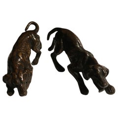 France Late 19th Century Pair Bronze Dogs Sculptures Attributed to Clovis Masson