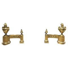France, milieu du XVIIIe siècle Paire de chenets néoclassiques en bronze et en fer