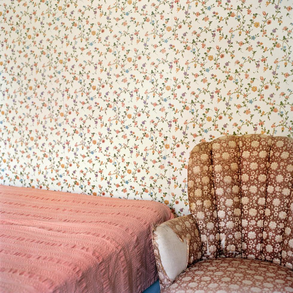 Frances F. Denny Color Photograph - Floral patterns