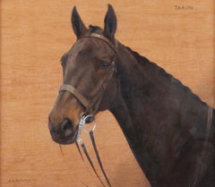 «Retrato de una cabeza de caballo», pintura al óleo antigua de F. M. Hollams