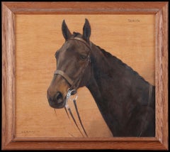 «Retrato de una cabeza de caballo», pintura al óleo antigua de F. M. Hollams