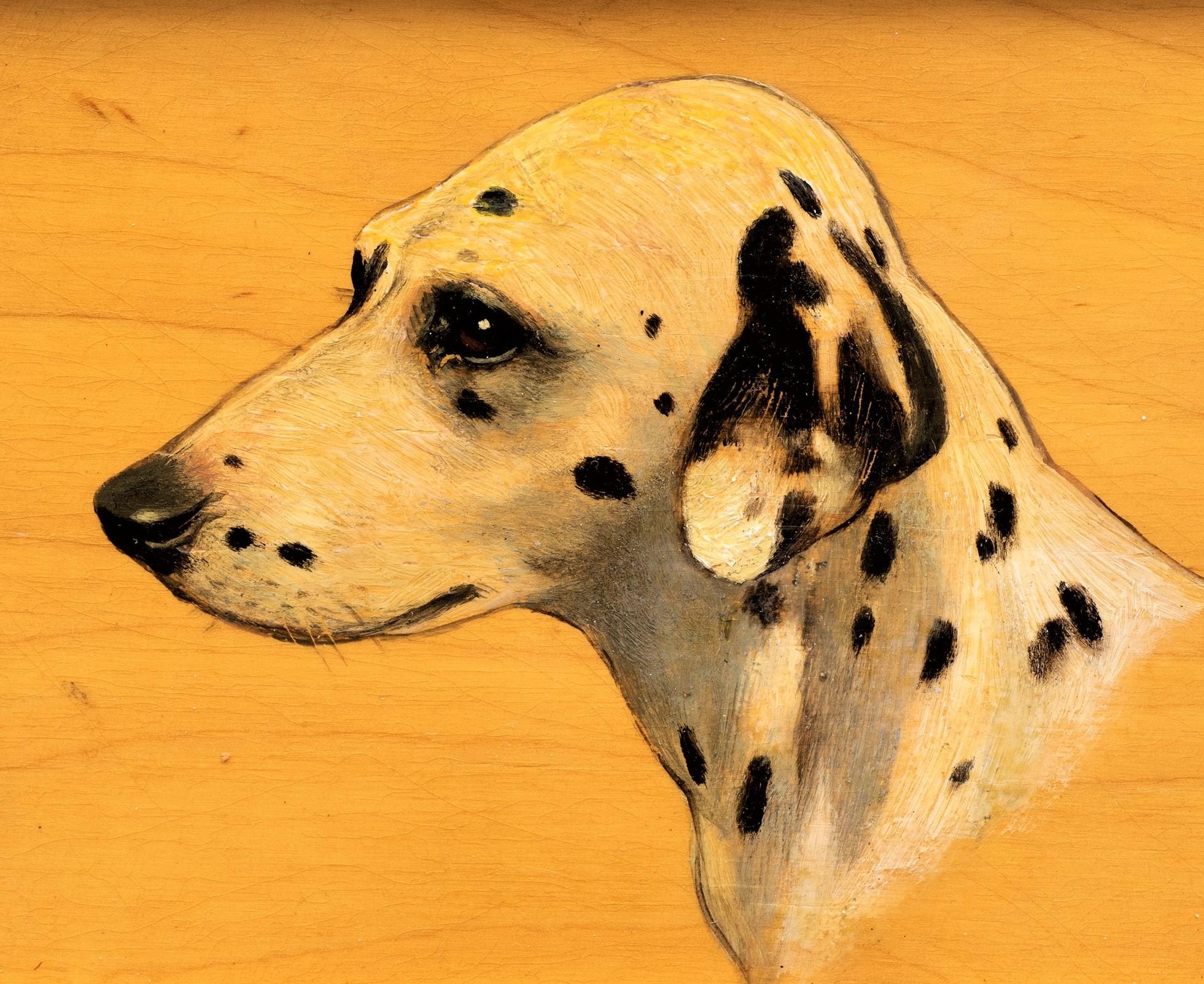 blonde dalmatian