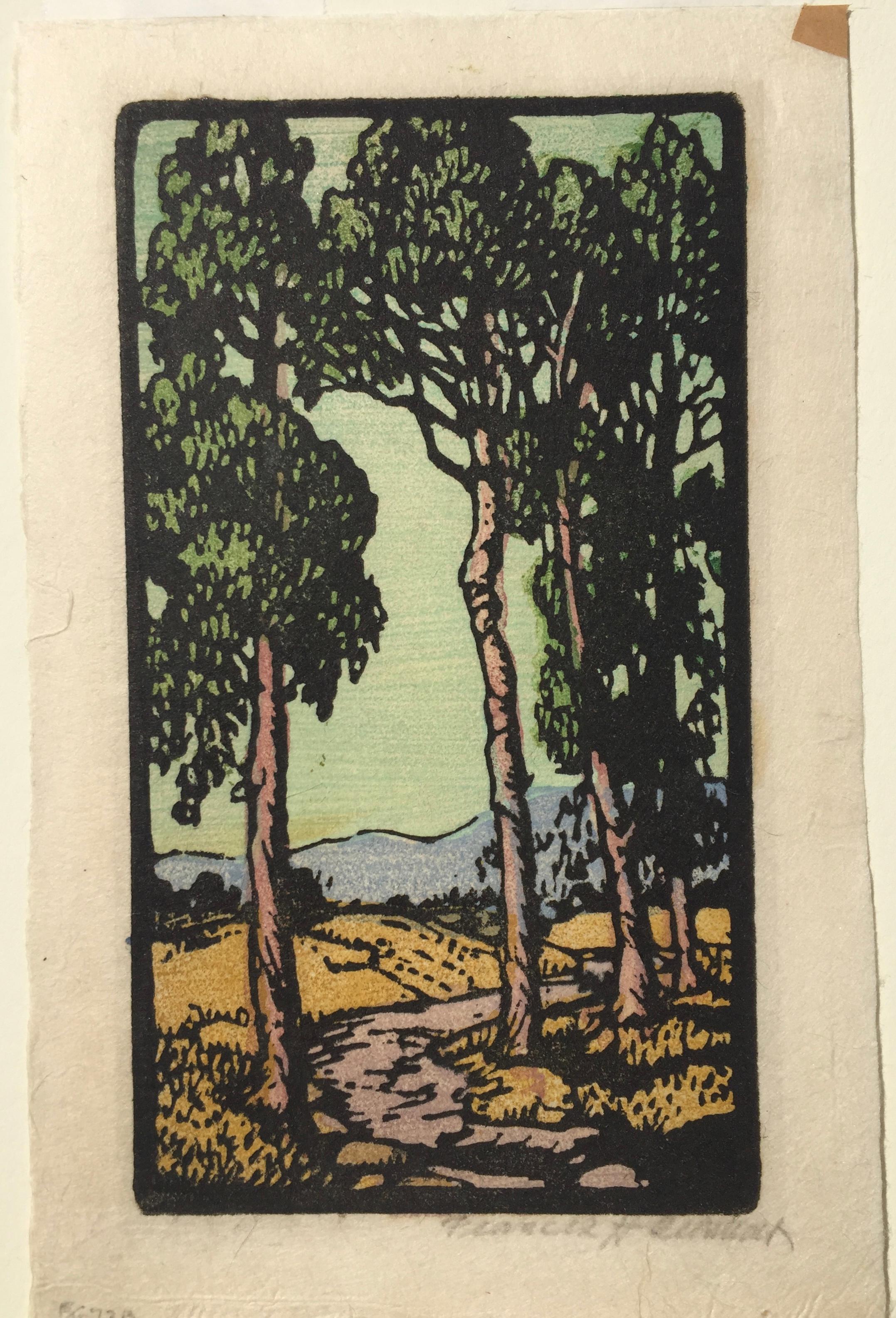 Eucalyptus - Print by Frances H. Gearhart