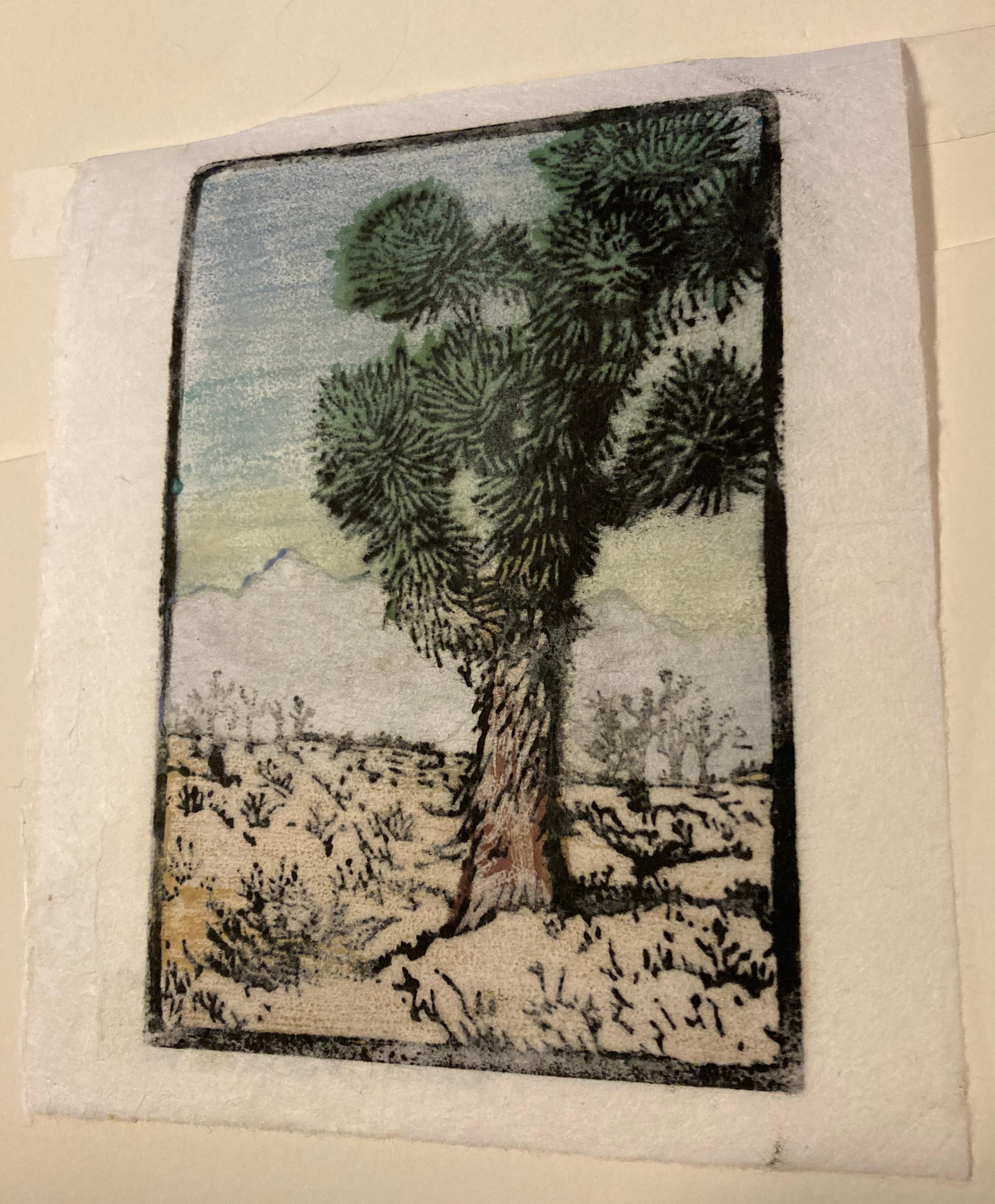 JOSHUA TREE 1