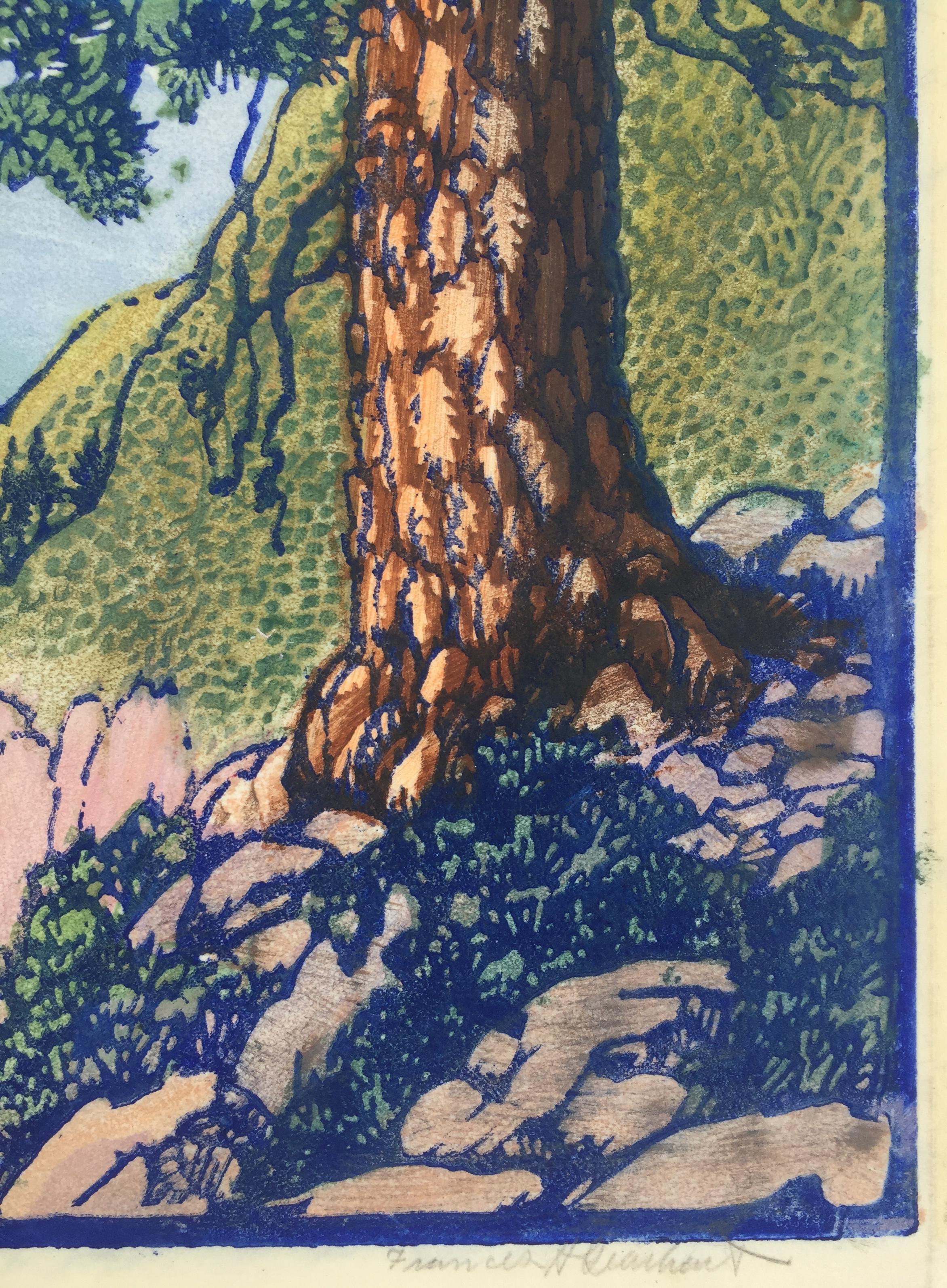 THE OLD PINE – sehr gutes, großformatiges Werk eines Meisters des Farbblockdrucks – Print von Frances H. Gearhart