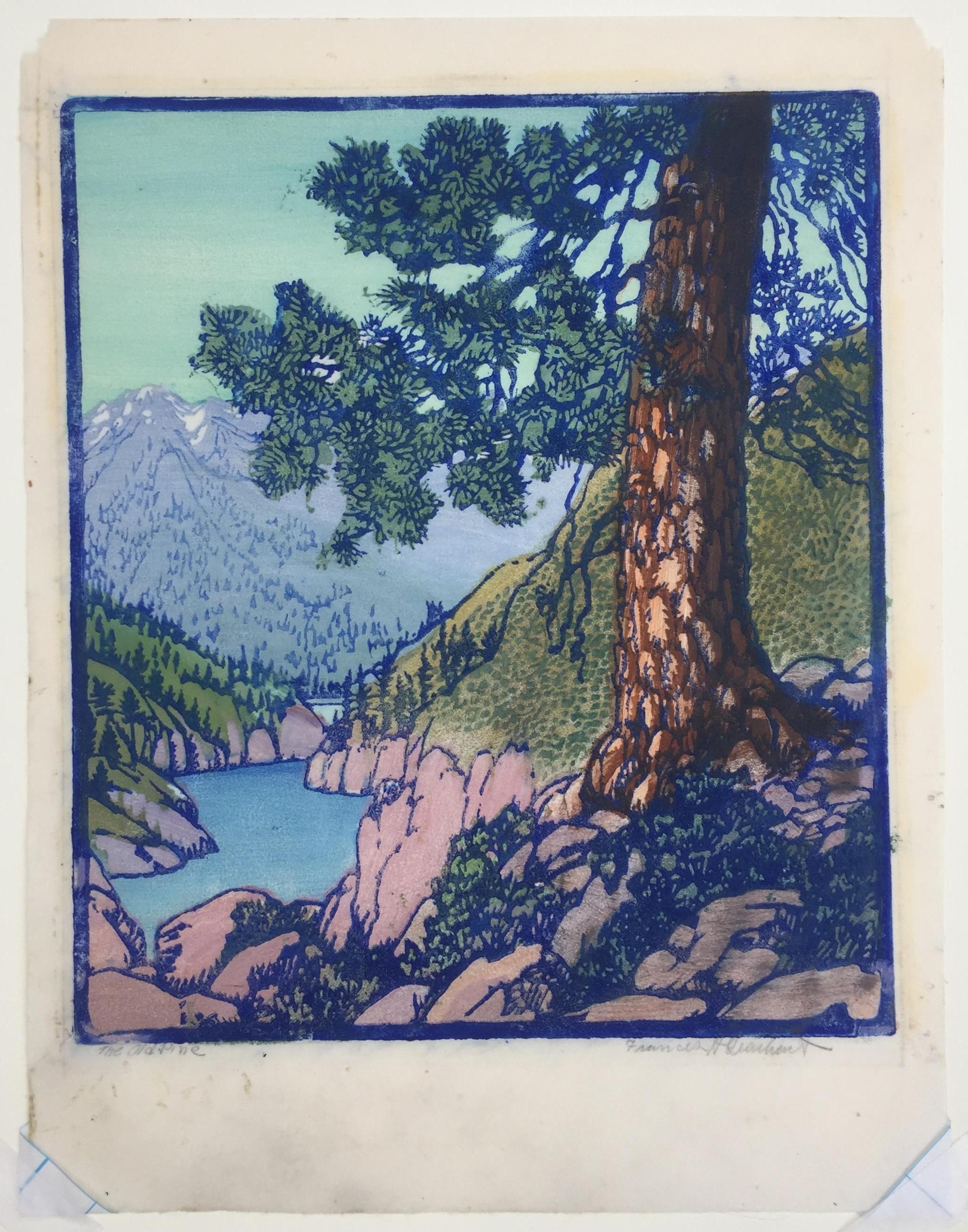 THE OLD PINE – sehr gutes, großformatiges Werk eines Meisters des Farbblockdrucks (Grau), Landscape Print, von Frances H. Gearhart
