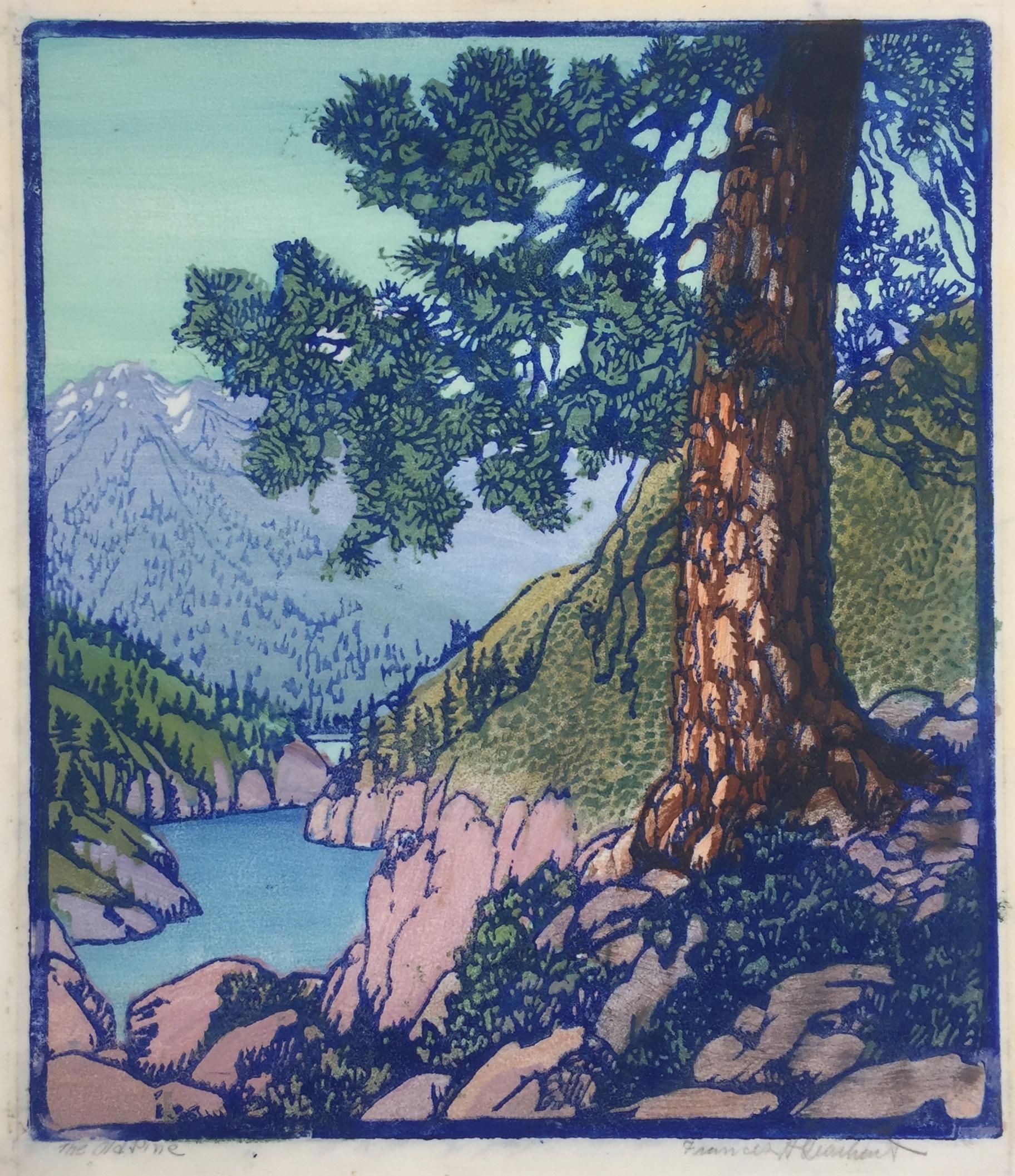 THE OLD PINE - Very Good Large Scale Work by a Master of the Color Block Print