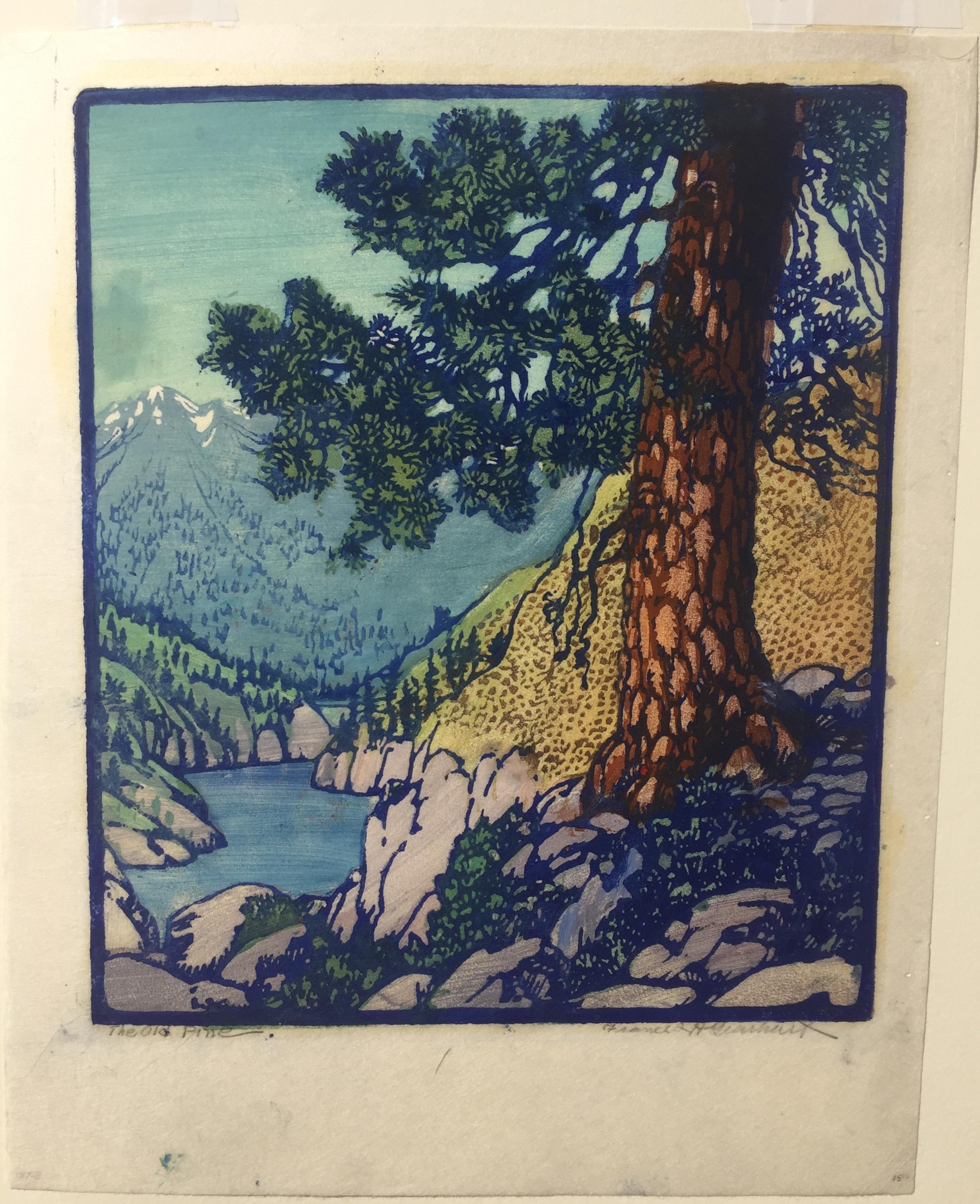 The Old Pine - Print by Frances H. Gearhart