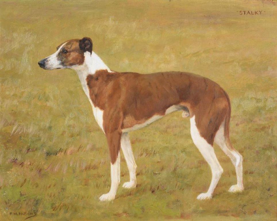 brown and white greyhound