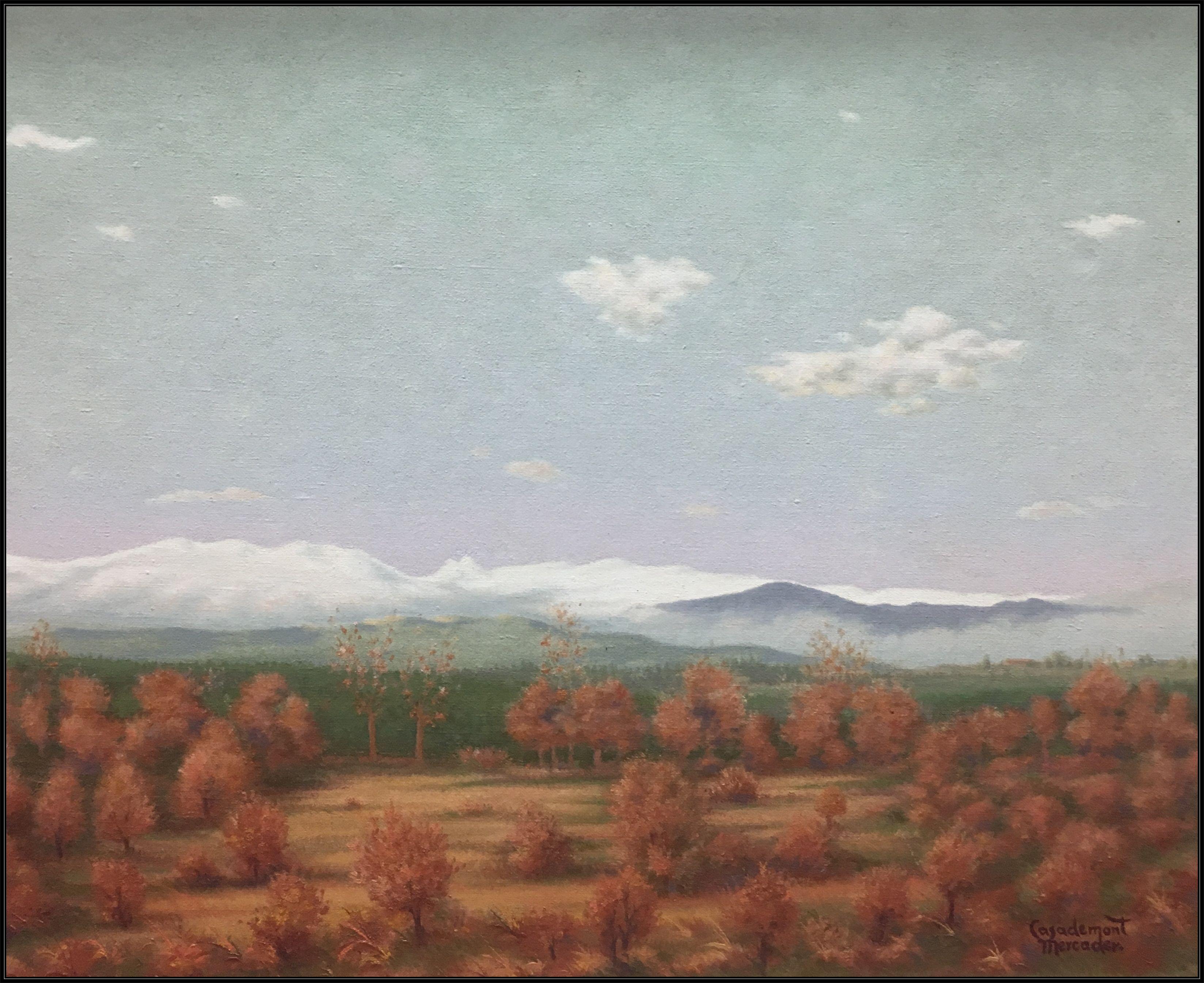 CASADEMONT  Paisaje pirenaico  - pintura original sobre lienzo acrílico - Painting de Francesc Casademont Mercader