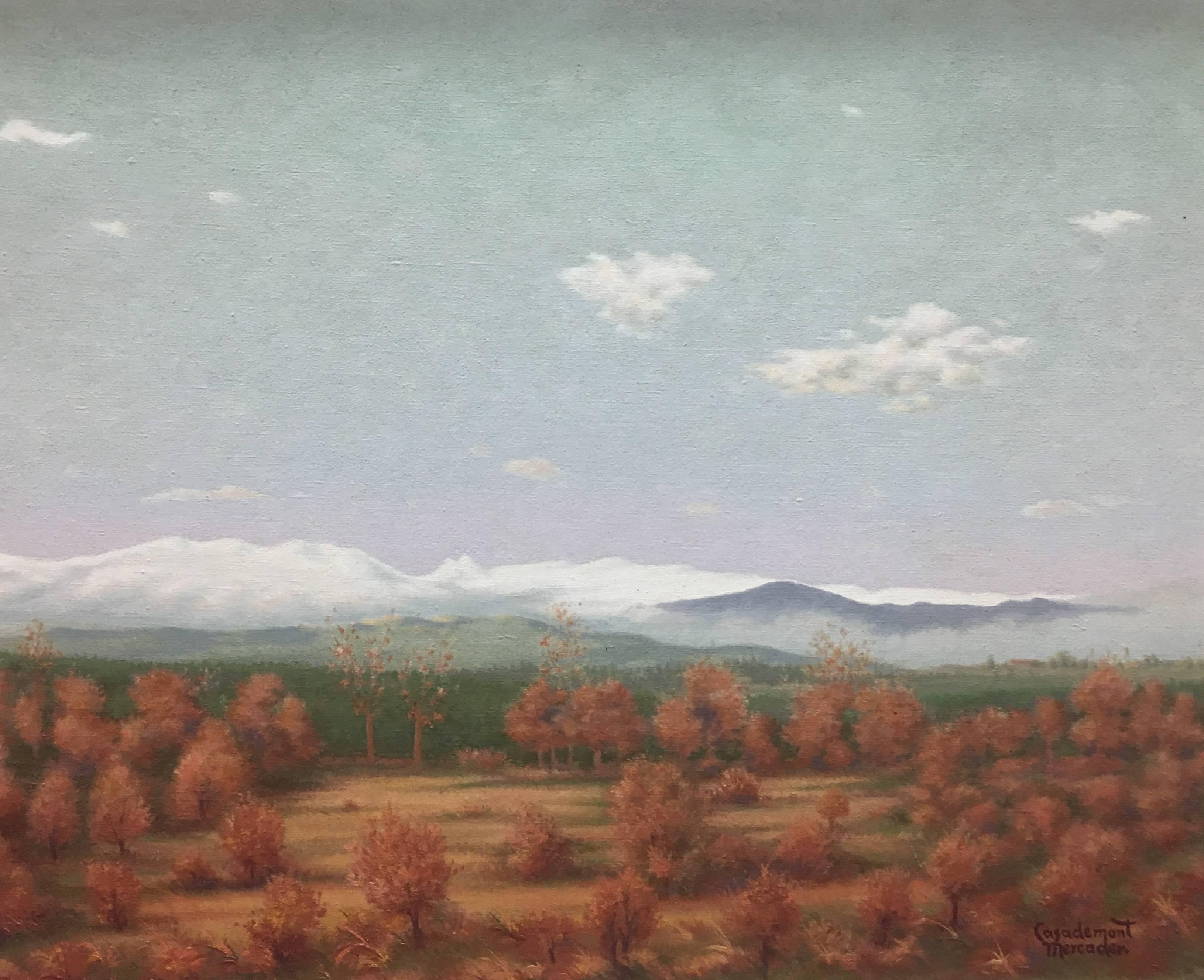 CASADEMONT  Paisaje pirenaico  - pintura original sobre lienzo acrílico - Painting Contemporáneo de Francesc Casademont Mercader