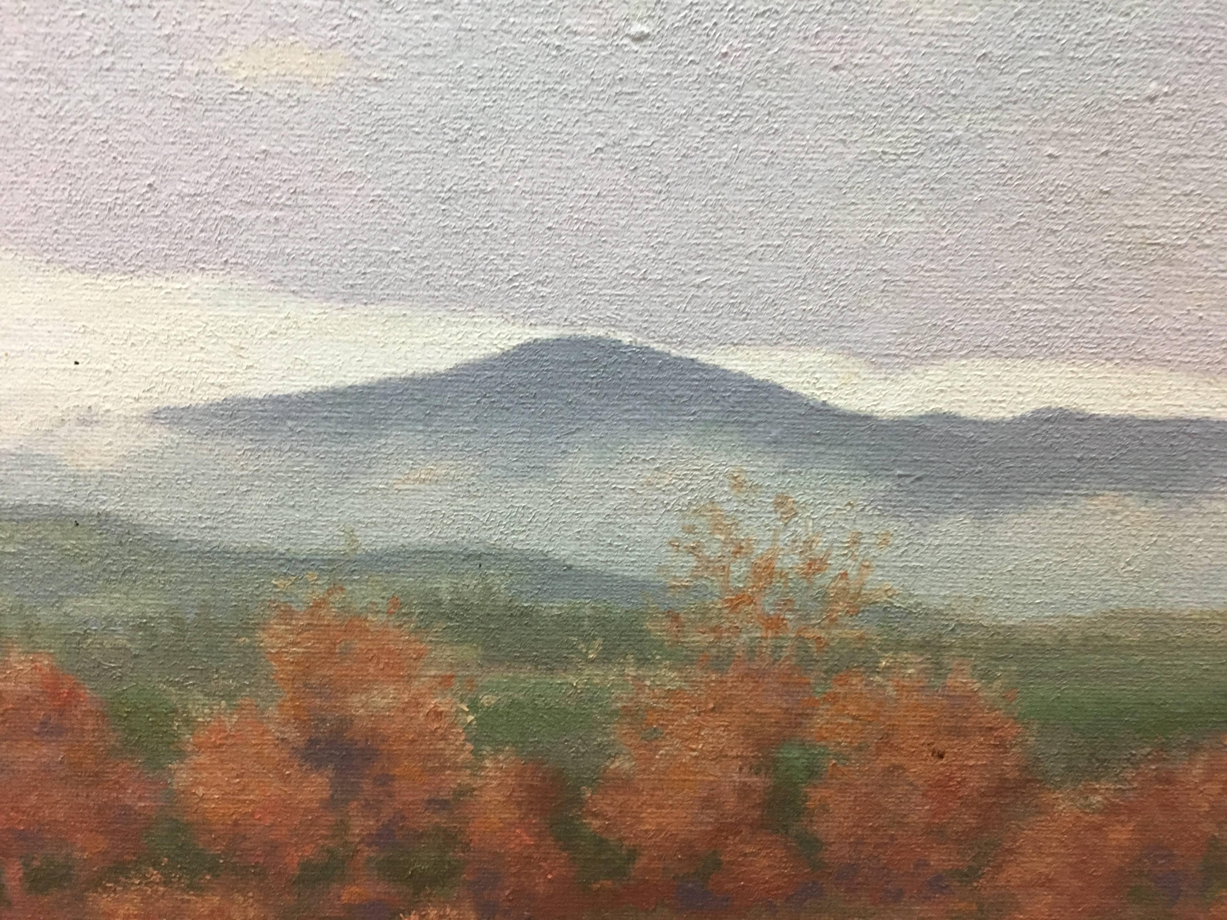 CASADEMONT  Paisaje pirenaico  - pintura original sobre lienzo acrílico en venta 1