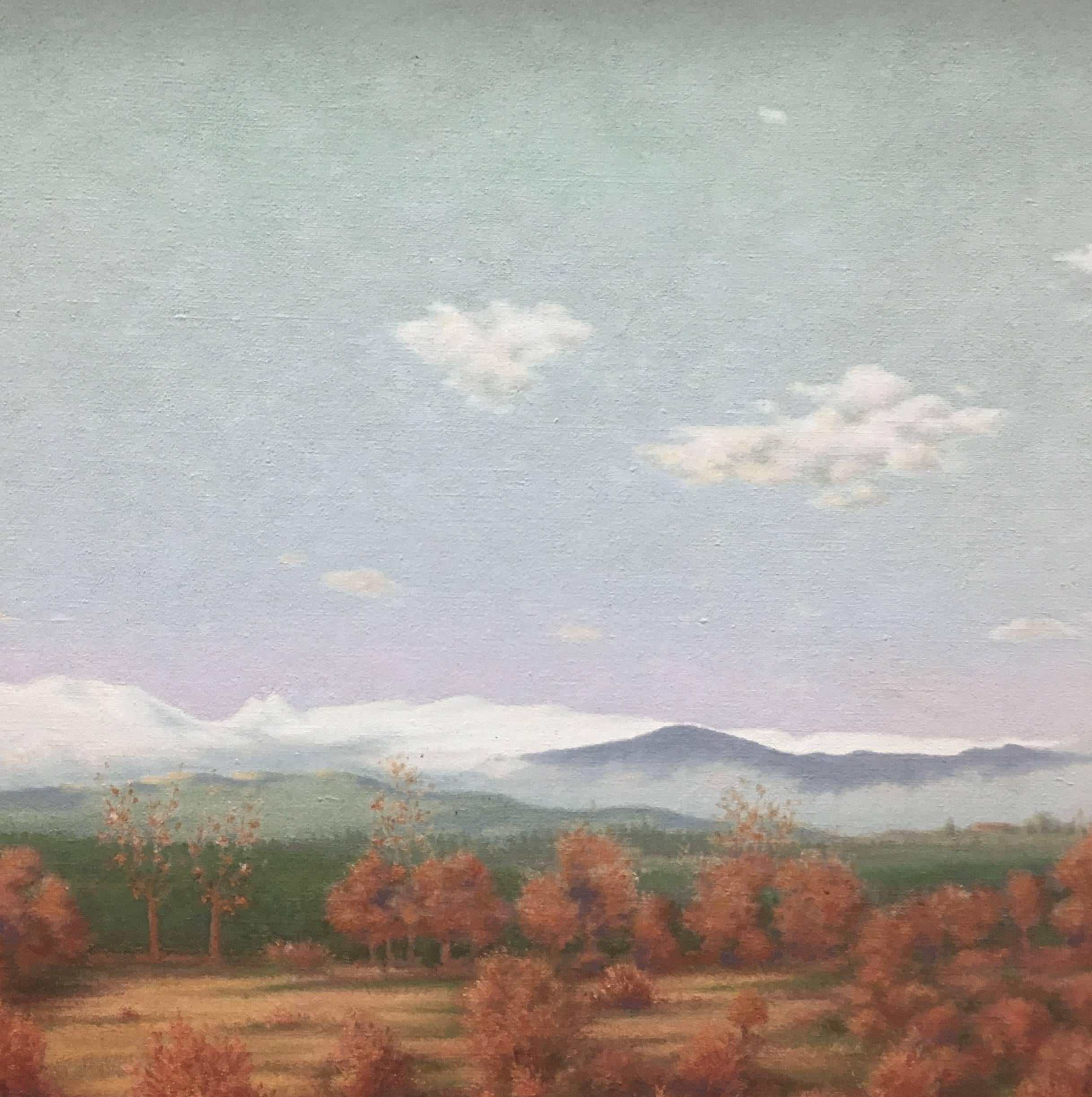 CASADEMONT 6 Paesaggio dei Pirenei  - dipinto originale su tela acrilica - Landscape Painting Grigio di Francesc Casademont Mercader
