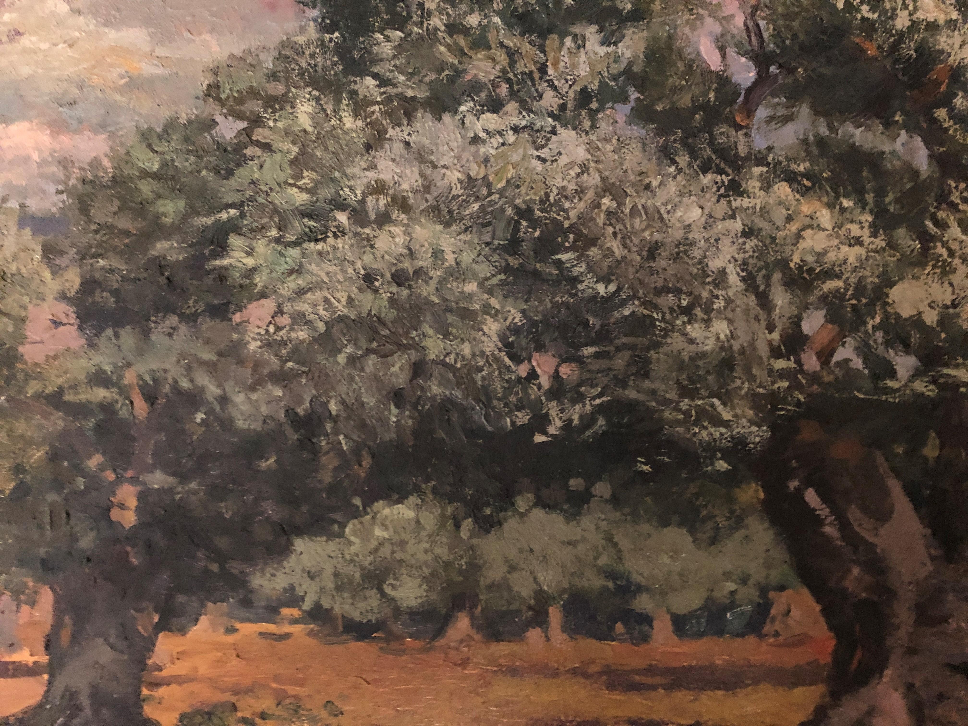 Olive field Mallorca Spain oil on canvas painting 1