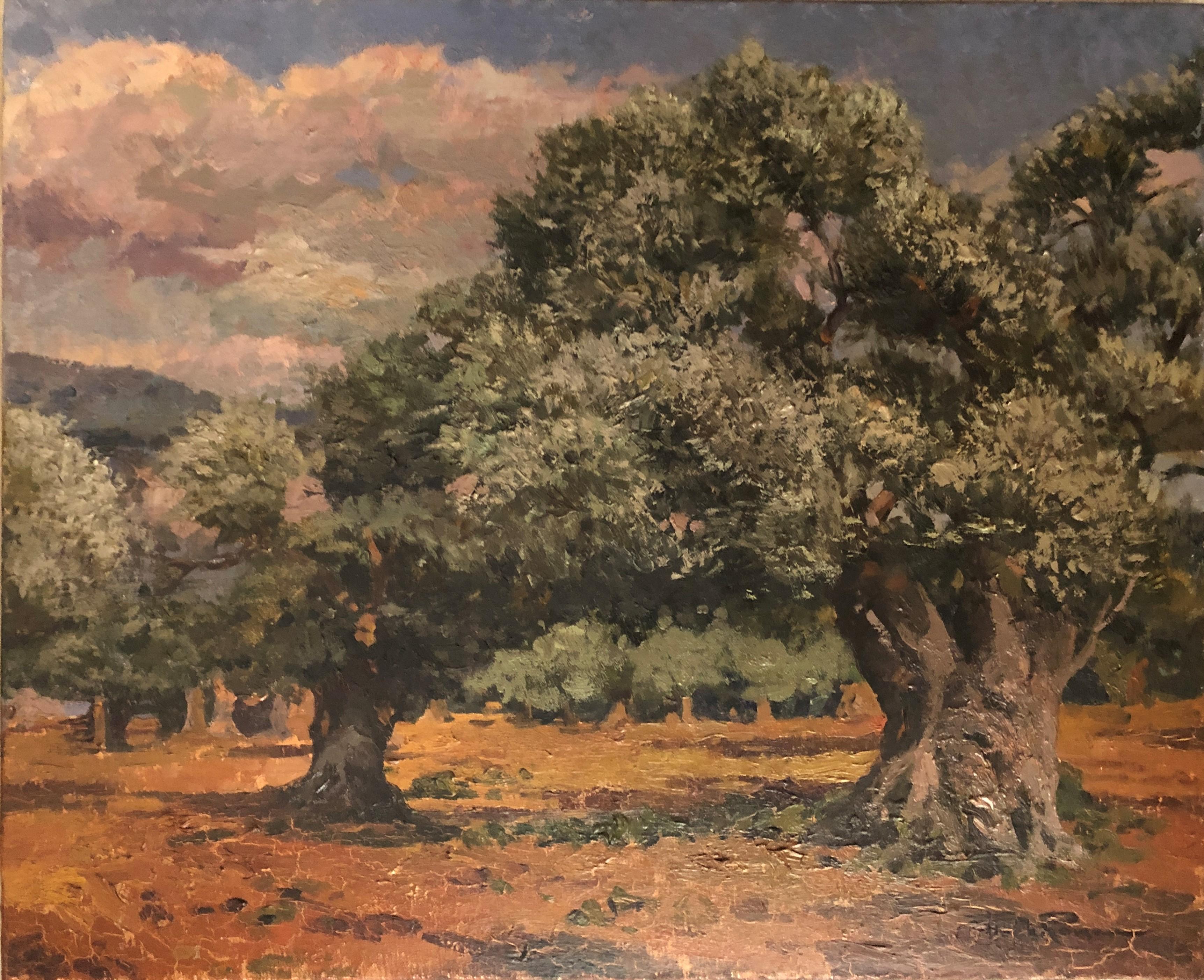 Francesc Poch Romeu Landscape Painting - Olive field Mallorca Spain oil on canvas painting