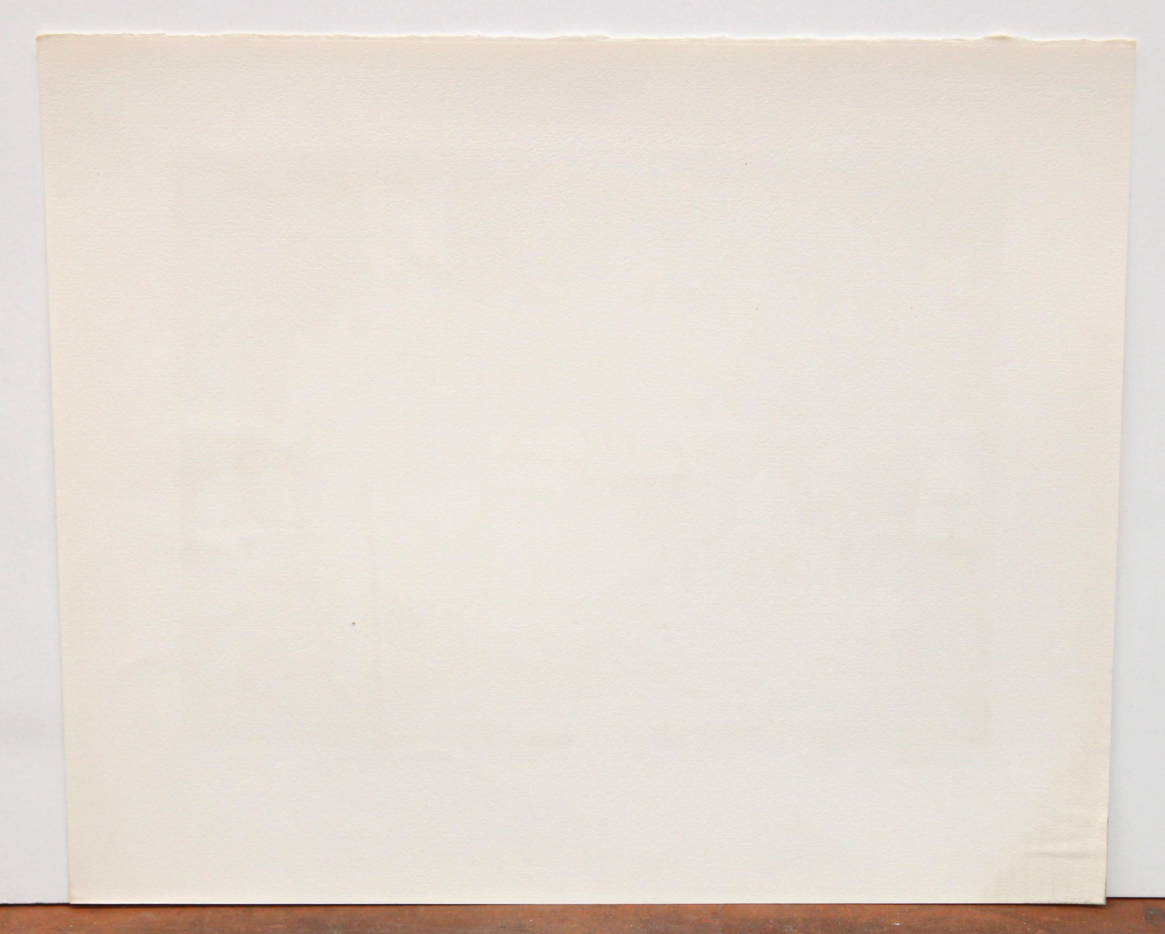 Firmada a lápiz por el artista en la parte inferior y con tiraje 13/250

En buen estado de conservación

Sin enmarcar

Medidas: 49 cm x 58 cm.