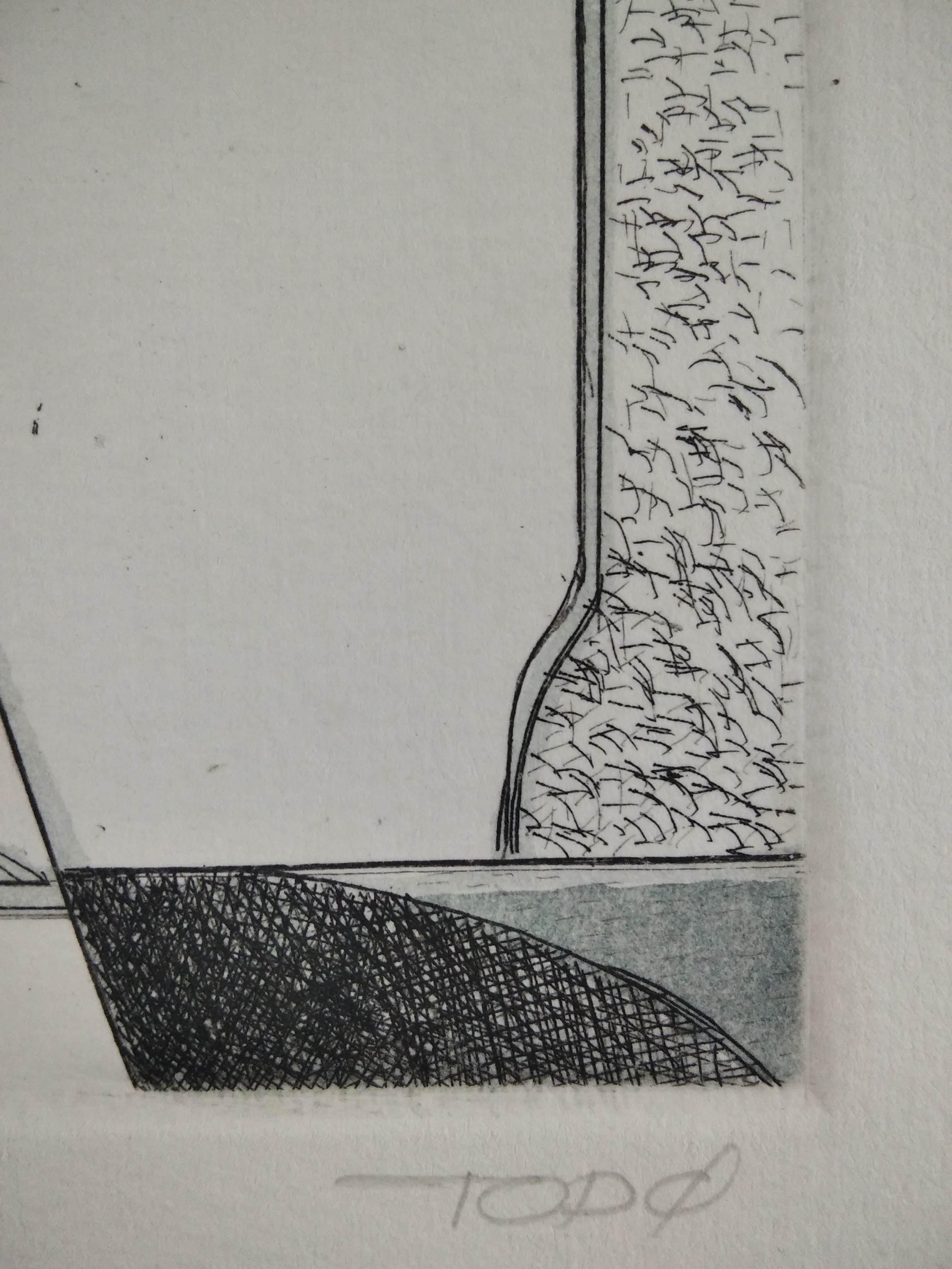 Untitled - Gray Still-Life Print by Francesc Todo