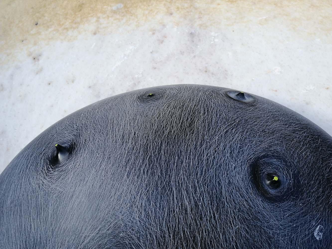 Fragment by Francesca Bernardini - Abstract sculpture, marble, glaze For Sale 4