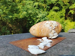 In protection by F. Bernardini - Egg Shaped sculpture, marble & travertine