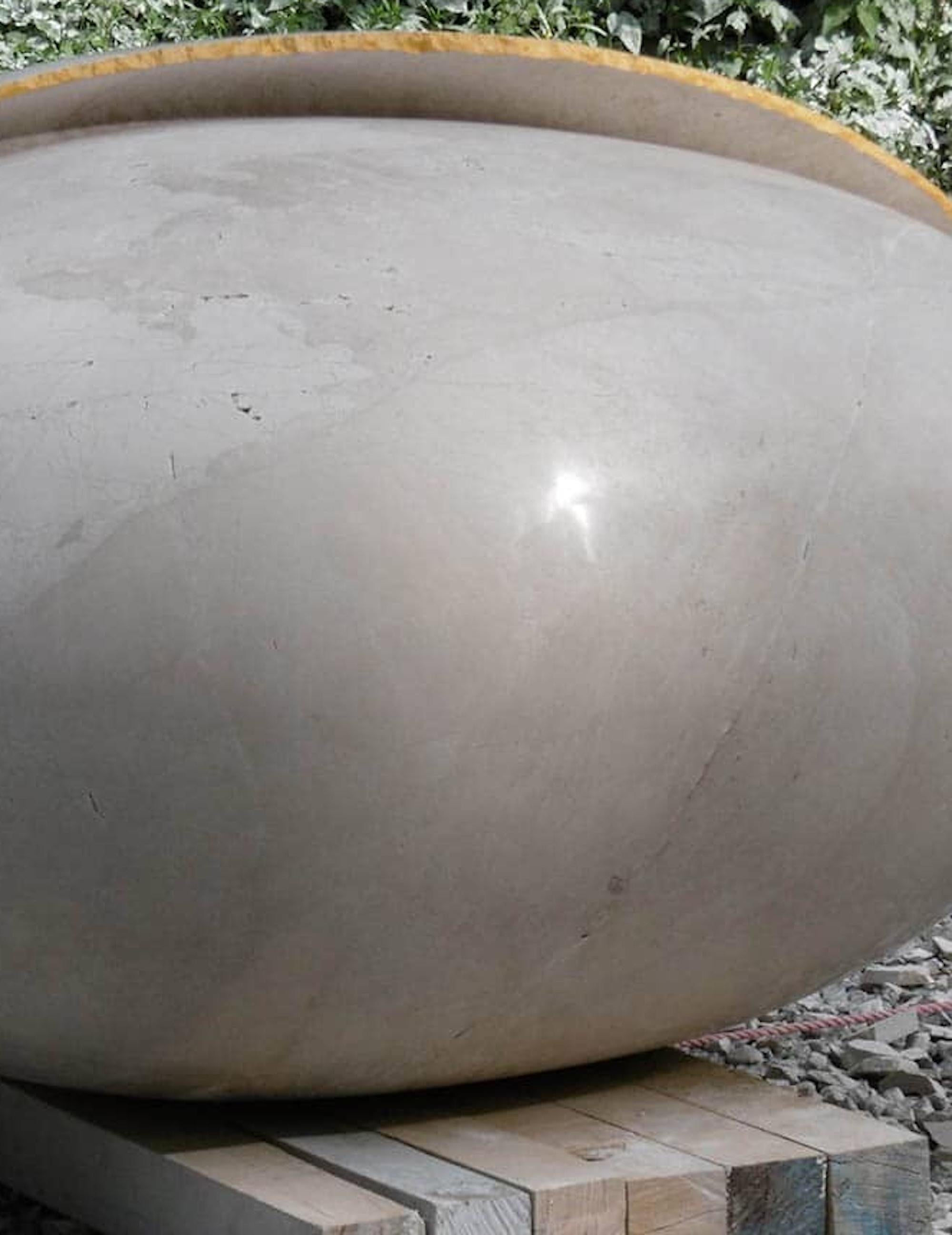 Début de l'évolution par F. Bernardini - grande sculpture en marbre, en forme d'œuf - Contemporain Sculpture par Francesca Bernardini