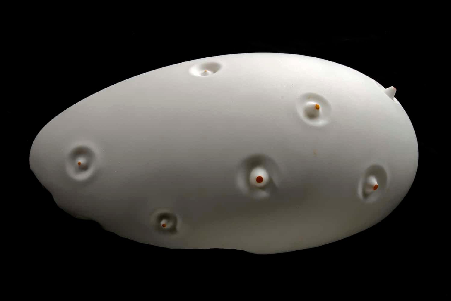 Up & Down von Francesca Bernardini – Abstrakte Skulptur, Carrara-Marmor, weiß im Angebot 2